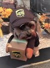 UPS driver